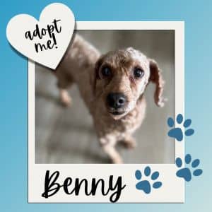 Benny