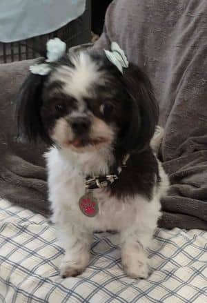 Bessie