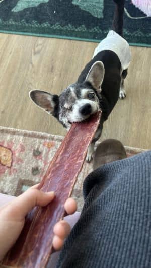 Chewy