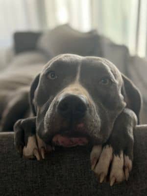 Coda