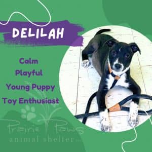 Delilah