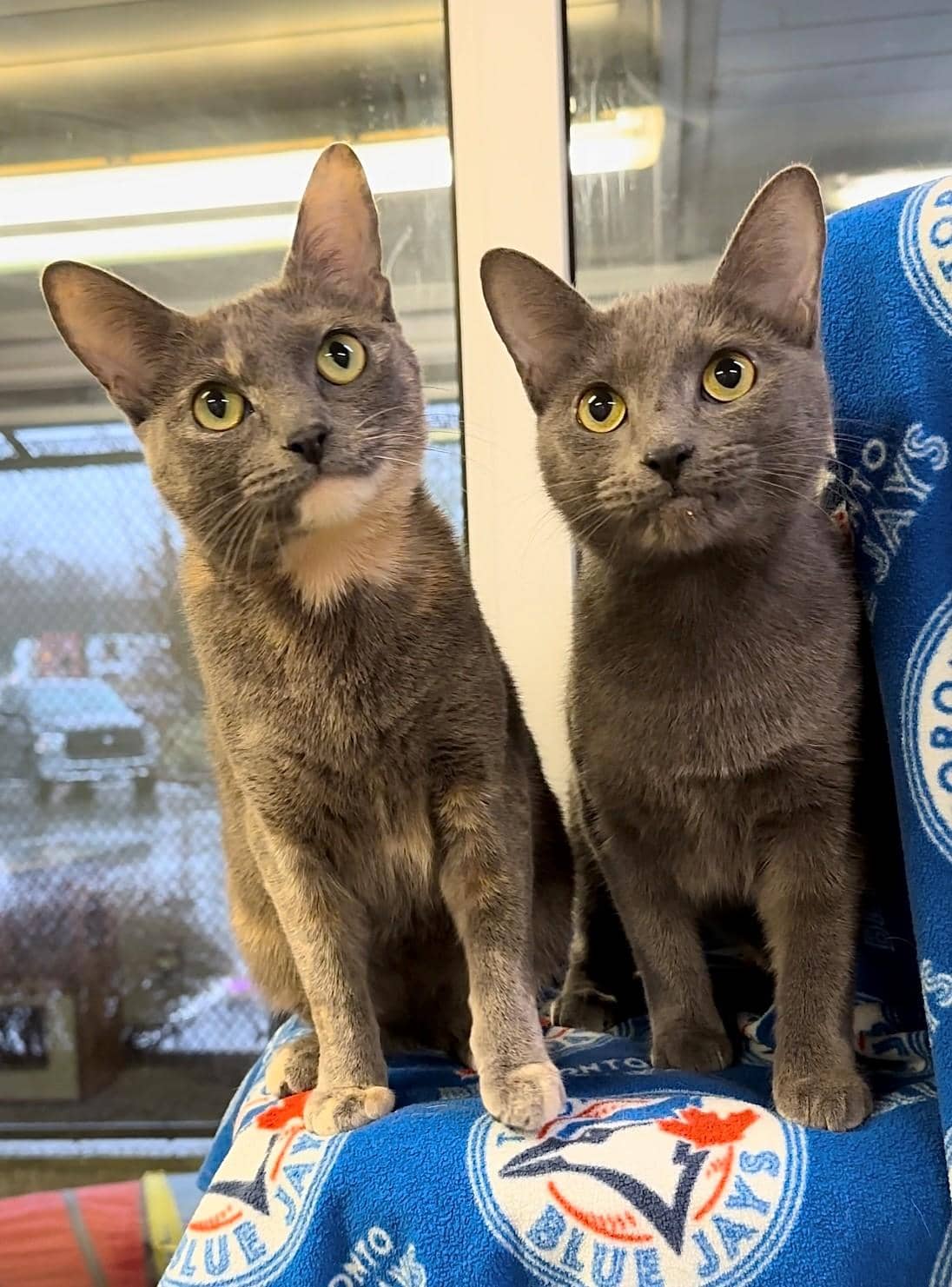 Elsa & Annna