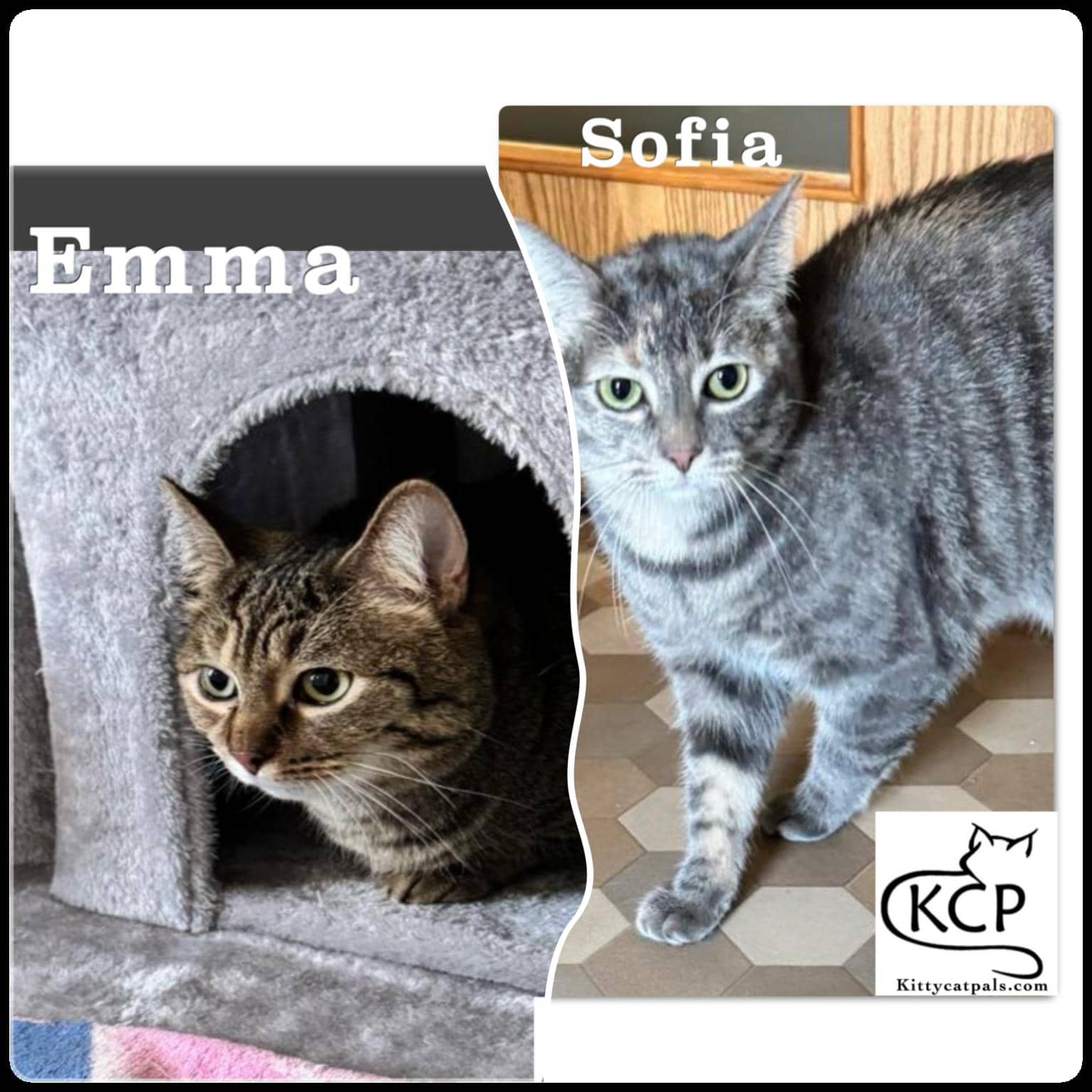 Emma & Sofia