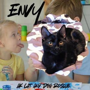 Envy