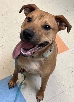 Ernie