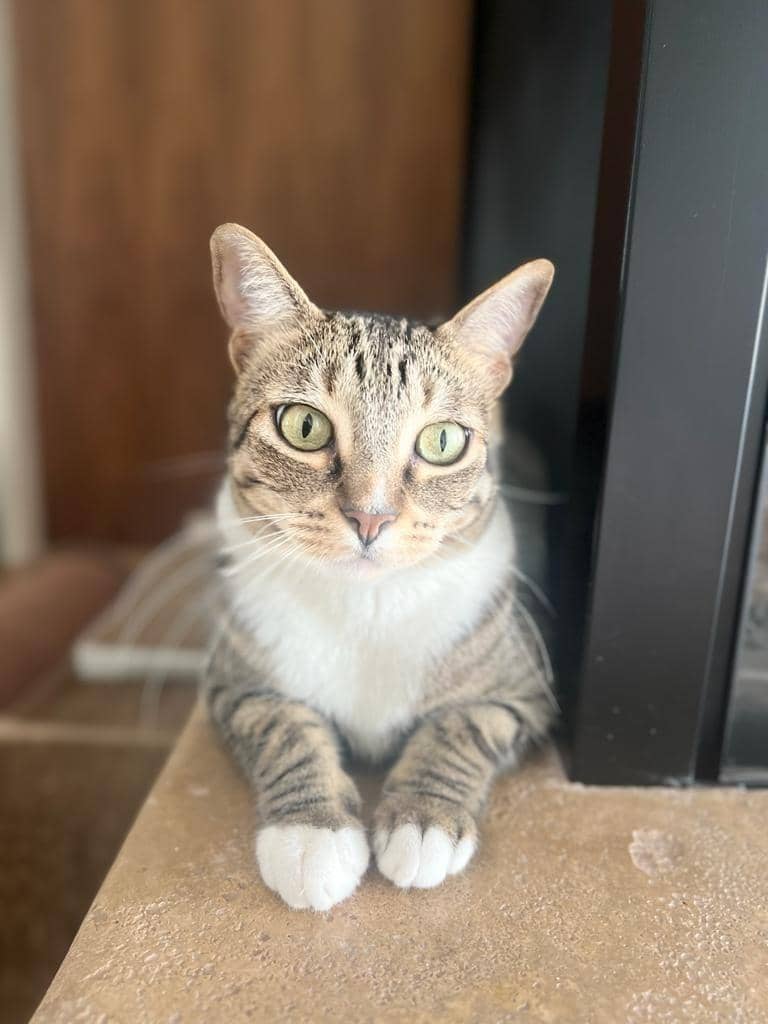 Fiona
