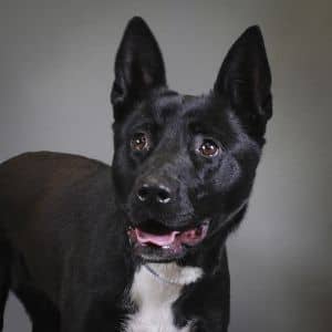 Greta