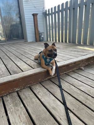 Jack Jack