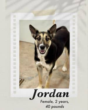 Jordan