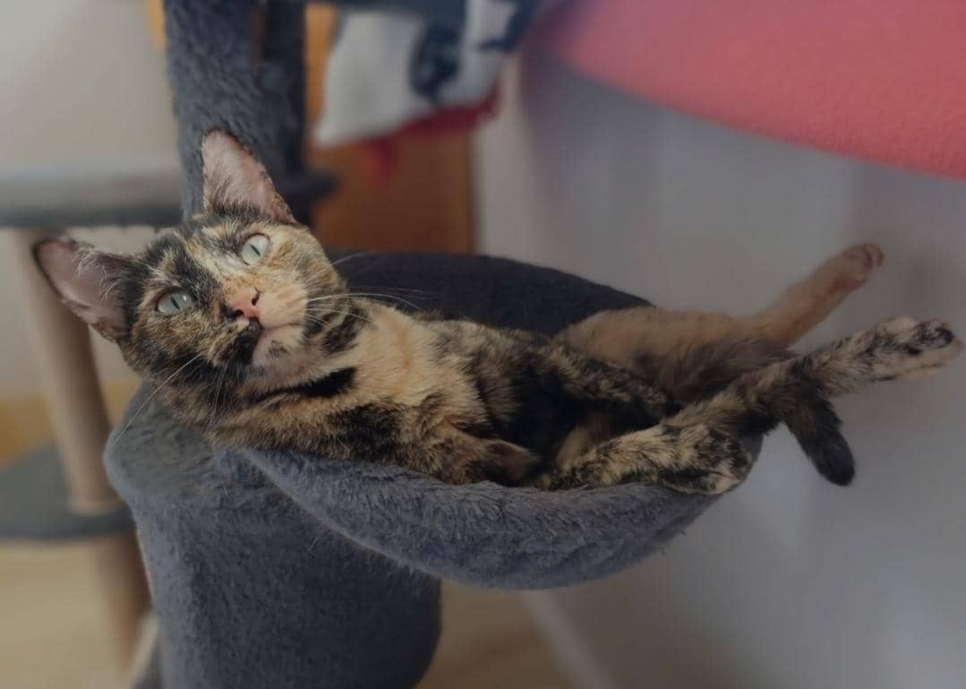 Lucy