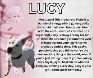 Lucy