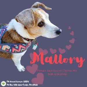 Mallory (fka Gizzel)