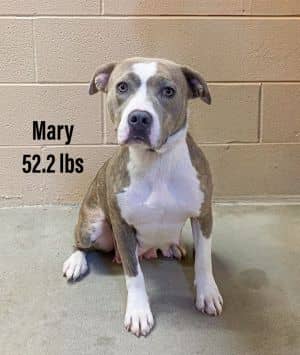 Mary
