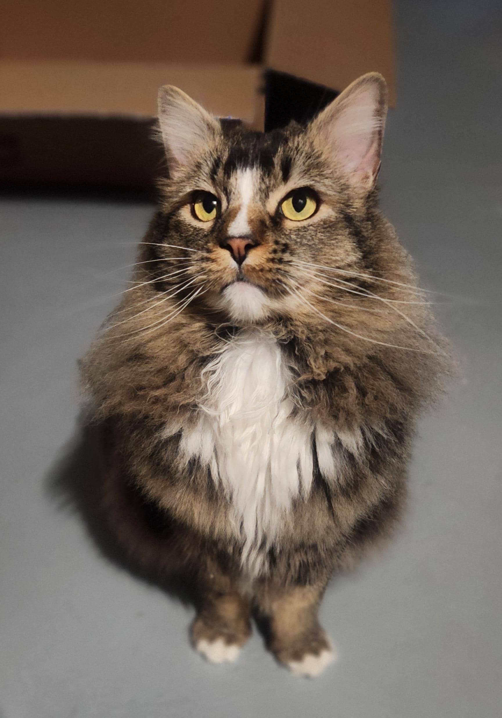 Max