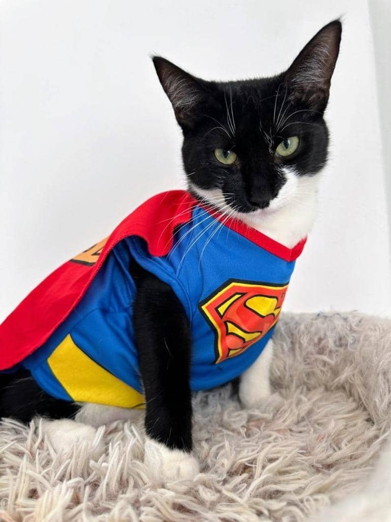 McMew