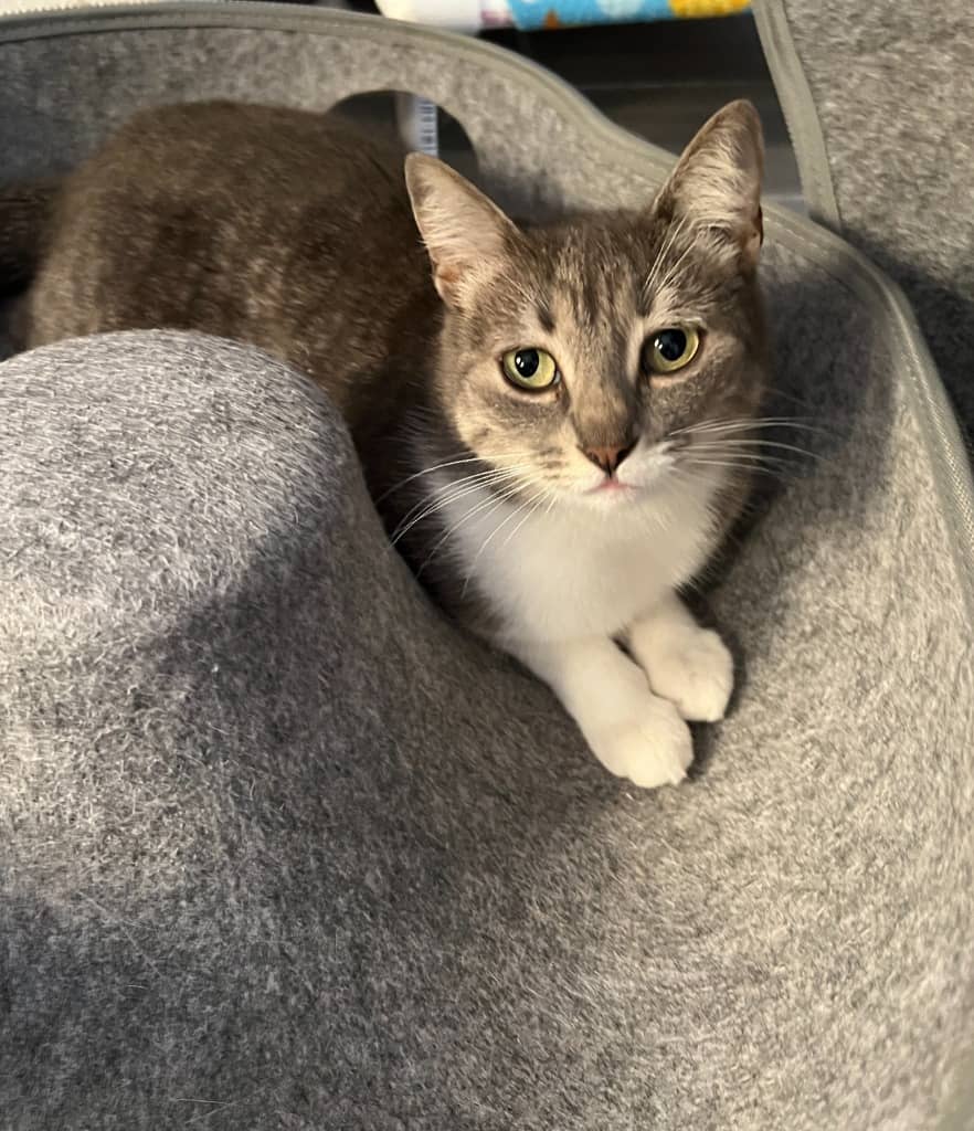 Mila