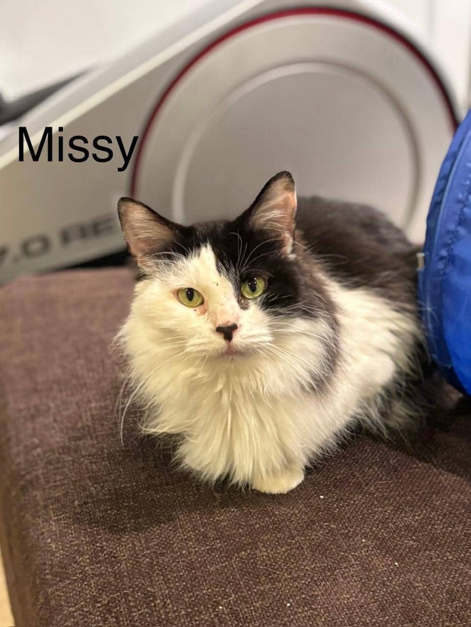 Missy