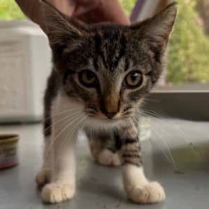 Newbie 4 help us name them!