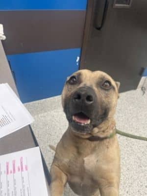 Pasco