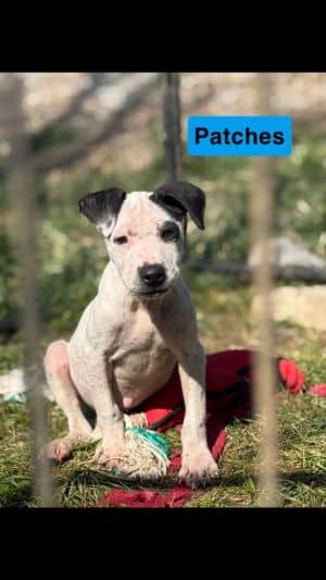 Patches