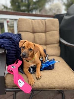 Penny