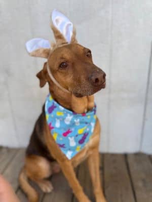 Princess Purdy The Perfect Girl For Retired Person