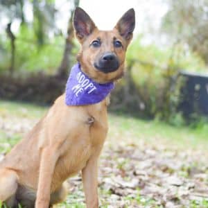 Prue
