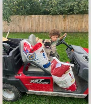 Pudgie Pug
