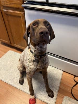 Riggs