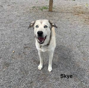 Skye