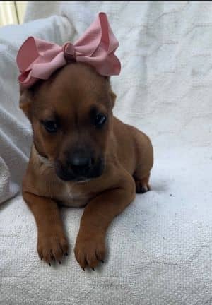 Sophie