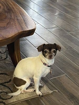 Sylvie aka Trudy